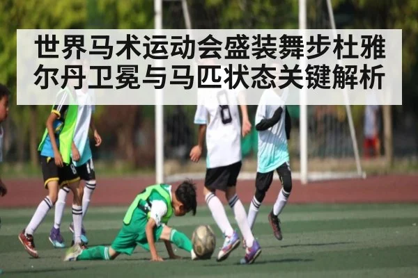 世界马术运动会盛装舞步杜雅尔丹卫冕与马匹状态关键解析